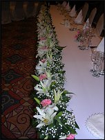 www.floristic.ru - .  .