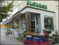 www.floristic.ru - .       - ?