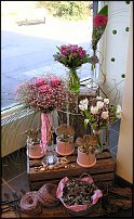 www.floristic.ru - .       - ?