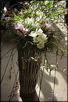 www.floristic.ru - .  . .