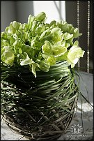 www.floristic.ru - .  . .