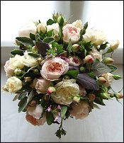 www.floristic.ru - .    