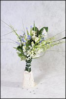 www.floristic.ru - .  