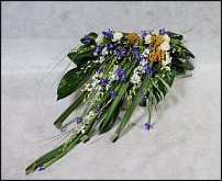 www.floristic.ru - .  