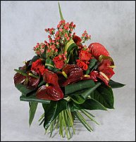 www.floristic.ru - .  