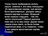 www.floristic.ru - Флористика. БОЛТАЛКА :)