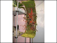 www.floristic.ru - . Gregor Lersch