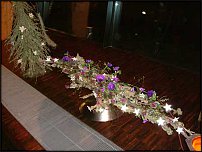 www.floristic.ru - . Gregor Lersch