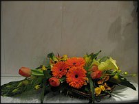 www.floristic.ru - .  .