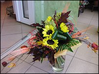 www.floristic.ru - .  .