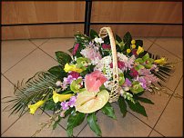 www.floristic.ru - . ,  .