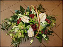 www.floristic.ru - . ,  .