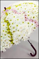 www.floristic.ru - . "Just Chrysanthemum"  )