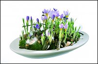 www.floristic.ru - .  .