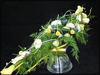 www.floristic.ru - .       - ?