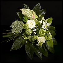 www.floristic.ru - .       - ?