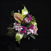 www.floristic.ru - .       - ?