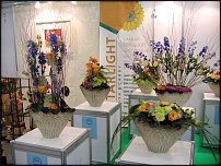 www.floristic.ru - .   " " +   