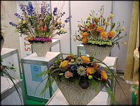 www.floristic.ru - .   " " +   