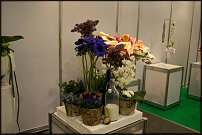 www.floristic.ru - .   " " +   