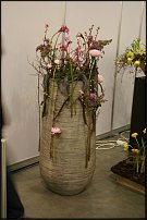 www.floristic.ru - .   " " +   