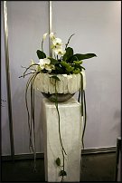www.floristic.ru - .   " " +   