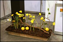 www.floristic.ru - .   " " +   