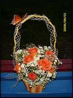 www.floristic.ru - . ,  .