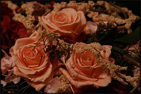 www.floristic.ru - Флористика. Стабилизированные или консервированные растения - аналог искусственных цветов!