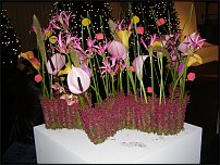 www.floristic.ru - .       