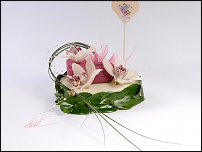 www.floristic.ru - .   