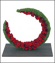 www.floristic.ru - Флористика. Стабилизированные или консервированные растения - аналог искусственных цветов!