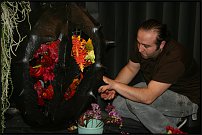 www.floristic.ru - .  .