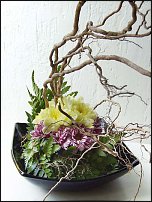 www.floristic.ru - .  .