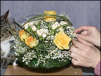 www.floristic.ru - .  .