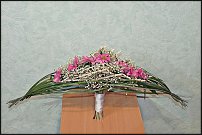 www.floristic.ru - .  .