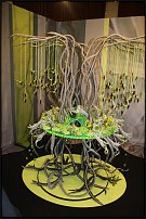 www.floristic.ru - . 13-     (,26-28  2010 .)