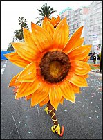 www.floristic.ru - .  