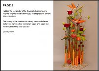 www.floristic.ru - . (Strelitzia)