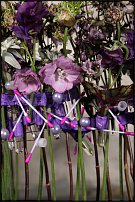 www.floristic.ru - . 13-     (,26-28  2010 .)