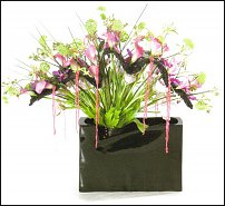 www.floristic.ru - . 13-     (,26-28  2010 .)