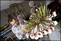 www.floristic.ru - . 13-     (,26-28  2010 .)