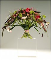 www.floristic.ru - . 13-     (,26-28  2010 .)