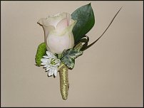 www.floristic.ru - .  