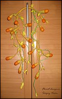 www.floristic.ru - .   