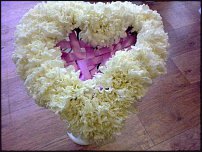 www.floristic.ru - .     -,  ..