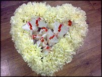 www.floristic.ru - .     -,  ..