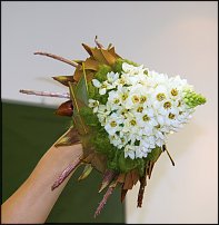 www.floristic.ru - .        17.04.10.  ""