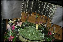 www.floristic.ru - .  .