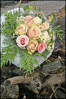 www.floristic.ru - .   